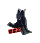 Pet Pet Pets（個別スタンプ：4）