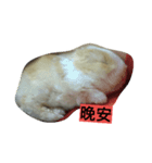 Pet Pet Pets（個別スタンプ：6）