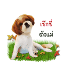 Fuji Lovely Dog（個別スタンプ：1）