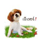 Fuji Lovely Dog（個別スタンプ：3）