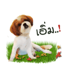 Fuji Lovely Dog（個別スタンプ：7）