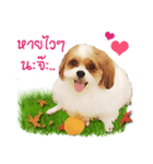 Fuji Lovely Dog（個別スタンプ：10）