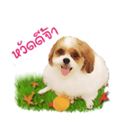 Fuji Lovely Dog（個別スタンプ：11）