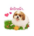 Fuji Lovely Dog（個別スタンプ：13）