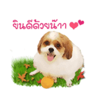 Fuji Lovely Dog（個別スタンプ：14）