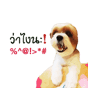 Fuji Lovely Dog（個別スタンプ：15）