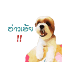 Fuji Lovely Dog（個別スタンプ：18）
