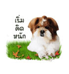 Fuji Lovely Dog（個別スタンプ：19）