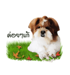 Fuji Lovely Dog（個別スタンプ：20）