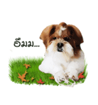 Fuji Lovely Dog（個別スタンプ：21）