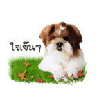 Fuji Lovely Dog（個別スタンプ：23）