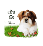 Fuji Lovely Dog（個別スタンプ：24）