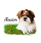 Fuji Lovely Dog（個別スタンプ：27）