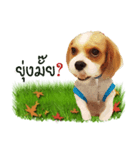 Fuji Lovely Dog（個別スタンプ：28）