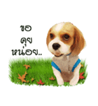 Fuji Lovely Dog（個別スタンプ：29）