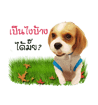 Fuji Lovely Dog（個別スタンプ：30）