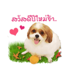 Fuji Lovely Dog（個別スタンプ：36）