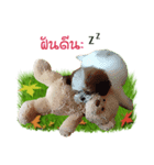 Fuji Lovely Dog（個別スタンプ：39）
