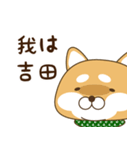 吉田さんが使う☆柴犬（個別スタンプ：2）