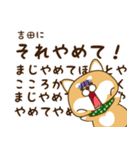 吉田さんが使う☆柴犬（個別スタンプ：11）