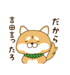 吉田さんが使う☆柴犬（個別スタンプ：20）