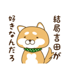 吉田さんが使う☆柴犬（個別スタンプ：22）