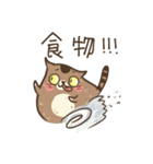 Qbi-cat and Cash（個別スタンプ：11）