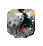 ふぅぽぉつぅ日常編1（個別スタンプ：5）