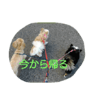 ふぅぽぉつぅ日常編1（個別スタンプ：7）