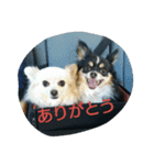 ふぅぽぉつぅ日常編1（個別スタンプ：8）