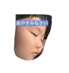 こはそうスタンプ1（個別スタンプ：1）