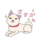 白柴犬スタンプ（個別スタンプ：7）