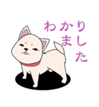 白柴犬スタンプ（個別スタンプ：9）