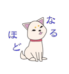 白柴犬スタンプ（個別スタンプ：10）