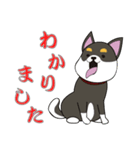 黒柴犬のスタンプ（個別スタンプ：9）