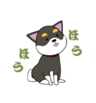 黒柴犬のスタンプ（個別スタンプ：10）