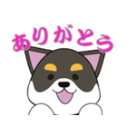 黒柴犬のスタンプ（個別スタンプ：17）