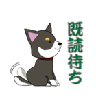 黒柴犬のスタンプ（個別スタンプ：24）