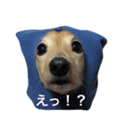 なまいき犬なっちゃん（個別スタンプ：3）