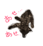 shuteneko shishutars11（個別スタンプ：4）