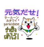 Thong Cat Thai＆Japan（個別スタンプ：3）