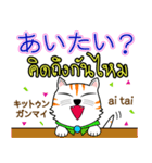 Thong Cat Thai＆Japan（個別スタンプ：6）