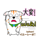 Thong Cat Thai＆Japan（個別スタンプ：18）