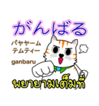 Thong Cat Thai＆Japan（個別スタンプ：24）