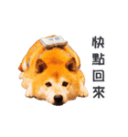 happydogs888（個別スタンプ：7）