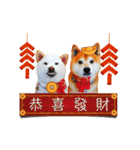 happydogs888（個別スタンプ：24）