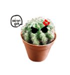 Cactus cutelove（個別スタンプ：2）