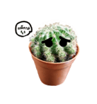 Cactus cutelove（個別スタンプ：4）