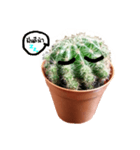 Cactus cutelove（個別スタンプ：5）