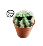 Cactus cutelove（個別スタンプ：6）